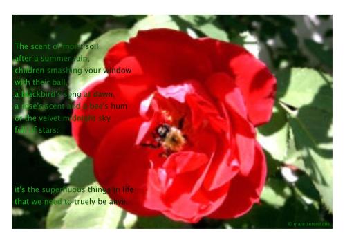 Keith Hamilton Cobb Fan Calendar - June